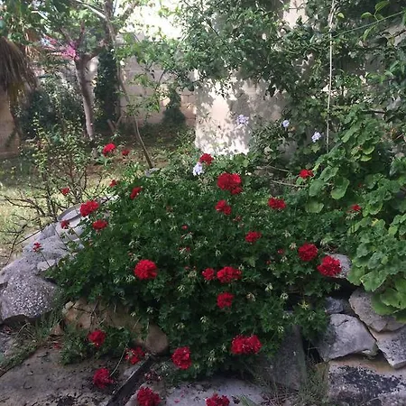 Villa Lu Porto Cesareo